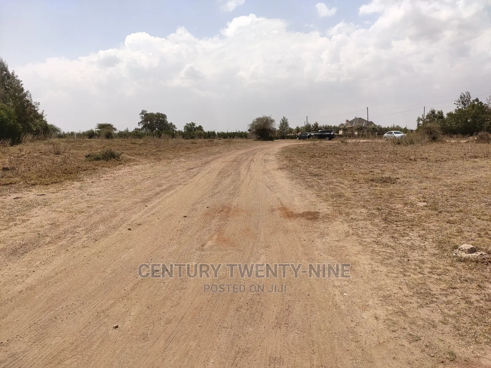 Sharon’S Sabaki Land