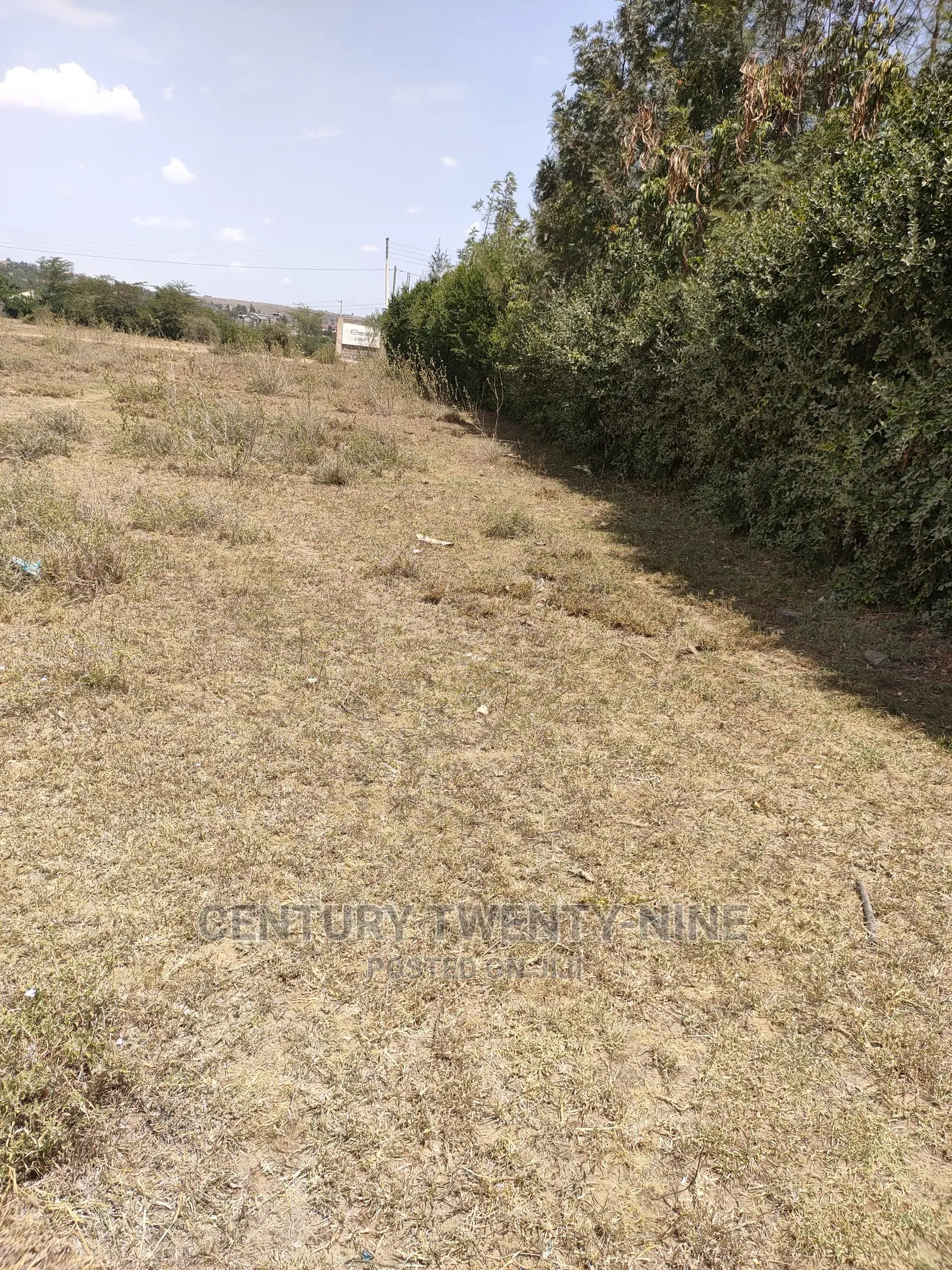 Sharon’S Sabaki Land