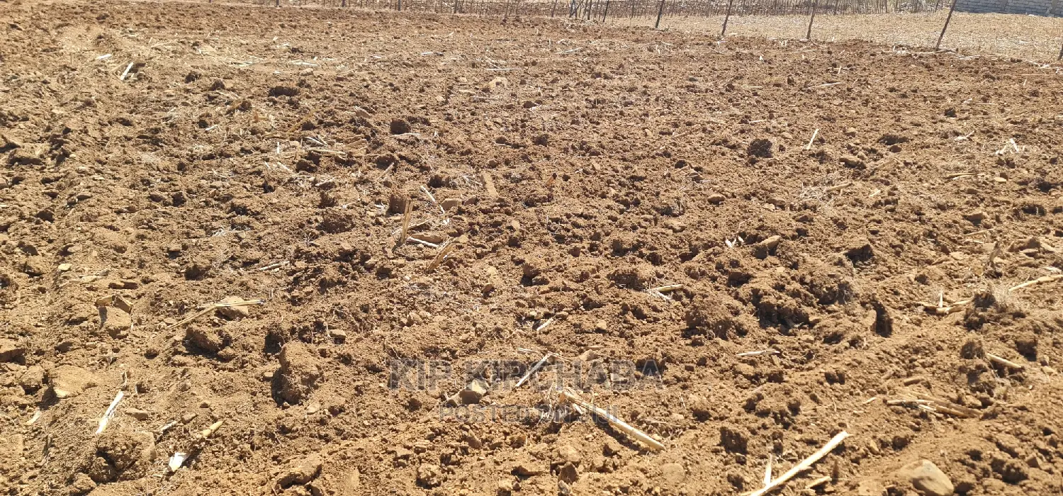1⁄4 Plot for Sale in Before Kipkorgot Eldore