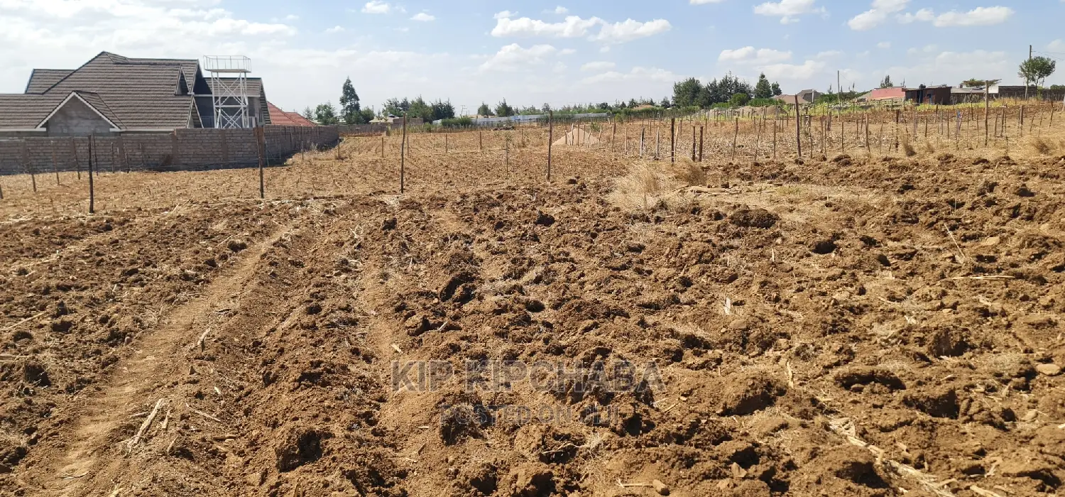 1⁄4 Plot for Sale in Before Kipkorgot Eldore