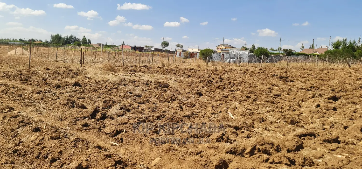 1⁄4 Plot for Sale in Before Kipkorgot Eldore
