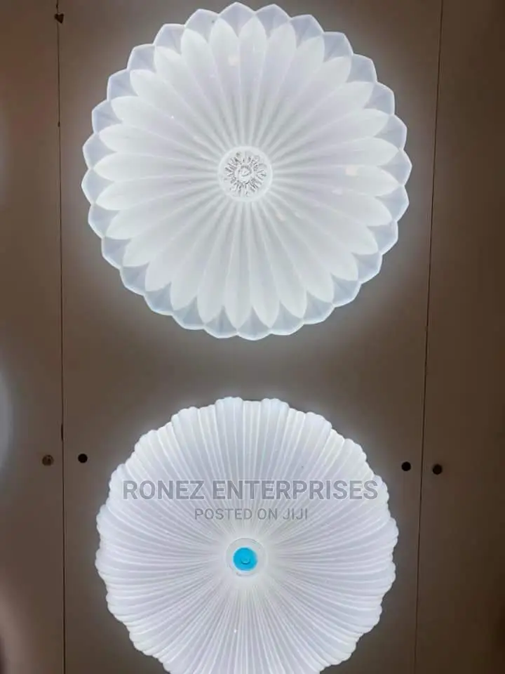 Celling Lights