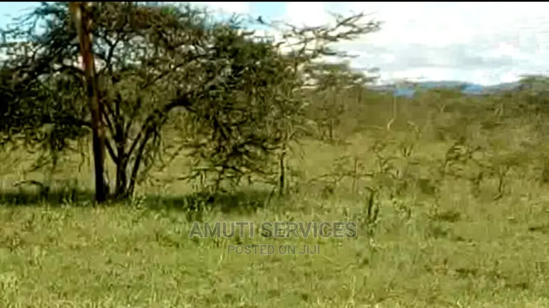Maanzoni: 5 Acres Commercial