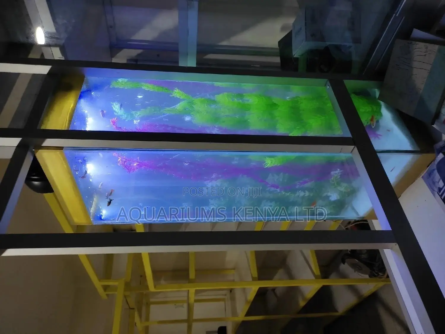 Shop Front Tower Aquarium