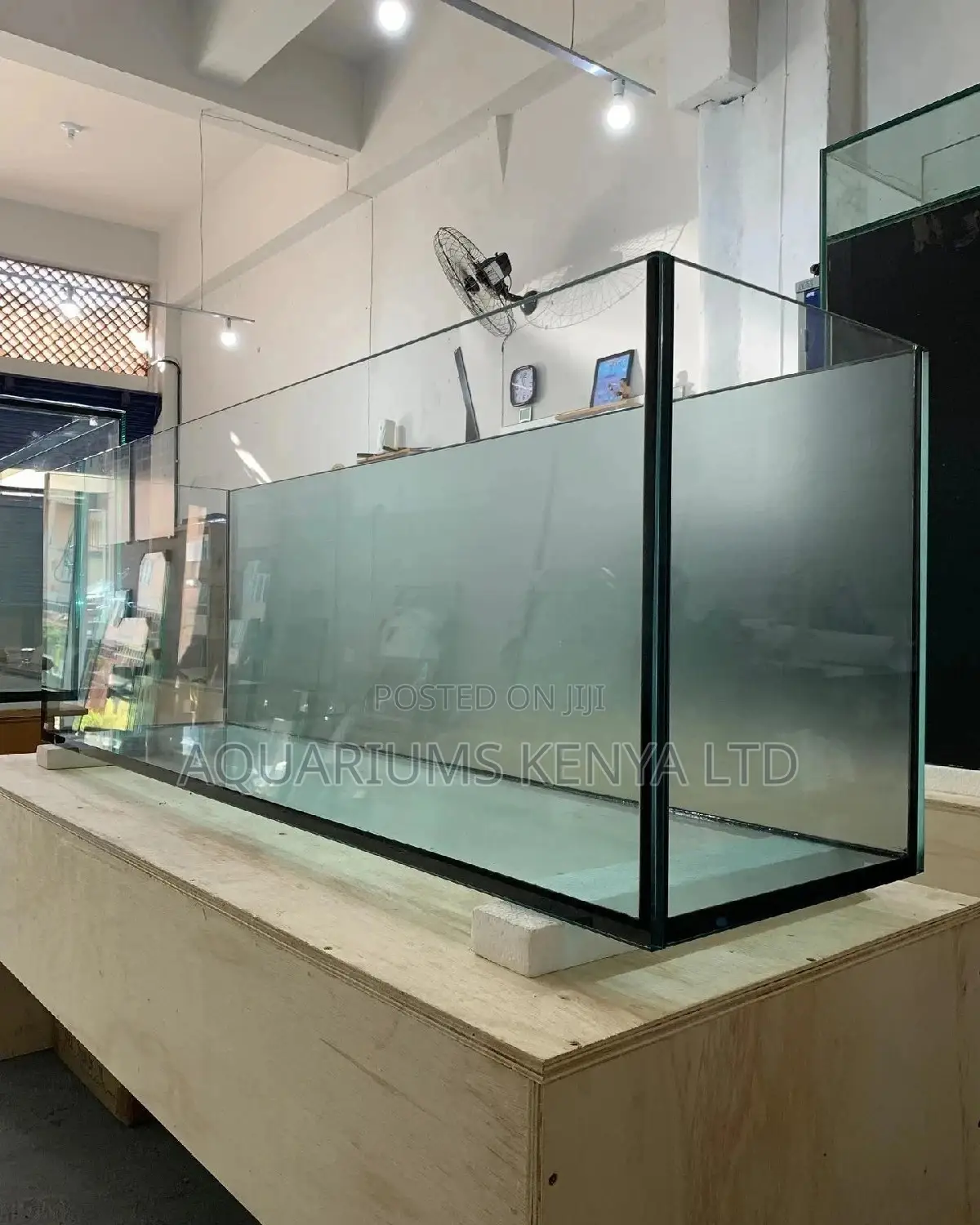 Tinted Back Aquariums, Custom Made Aquarium
