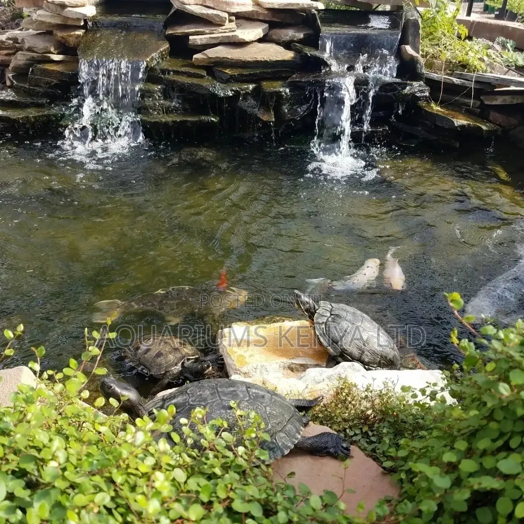 Outdoor Garden Pond , Ornamental Fish Ponds With Waterfalls