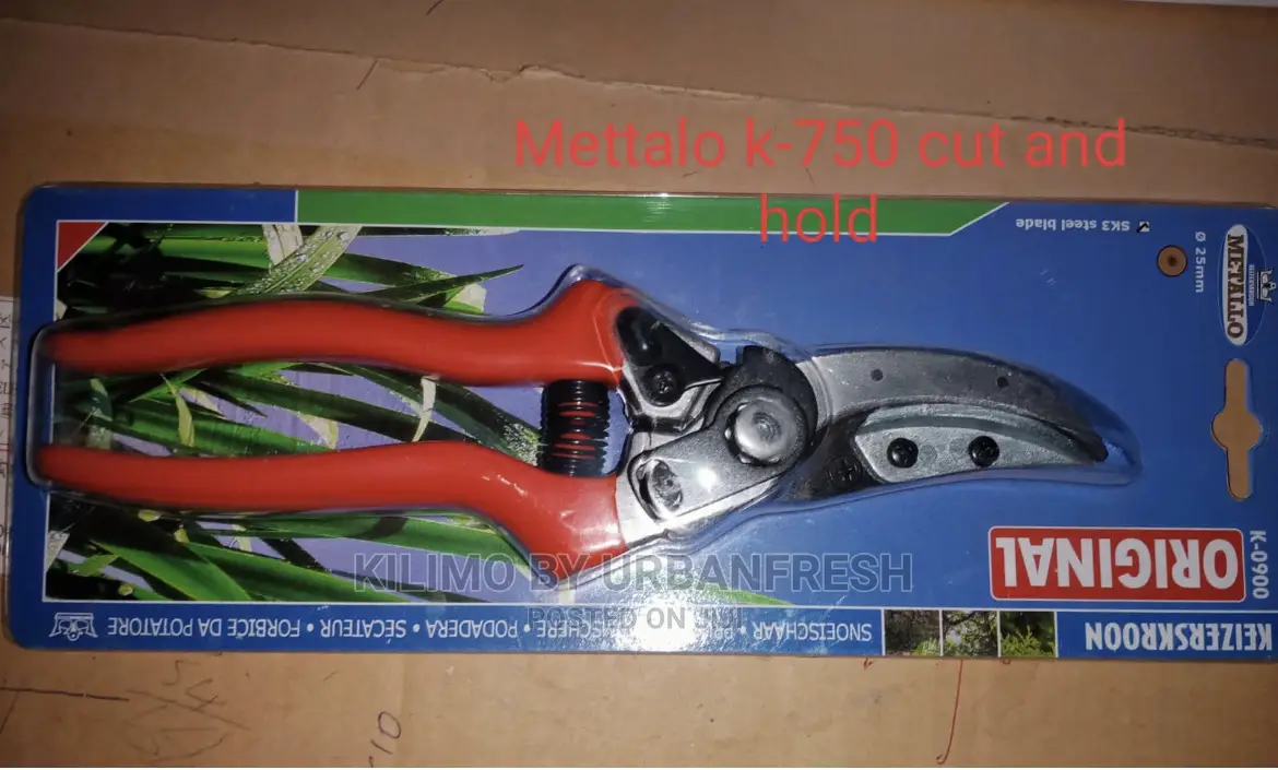 Secateurs : Prunners Cut and Hold Available.