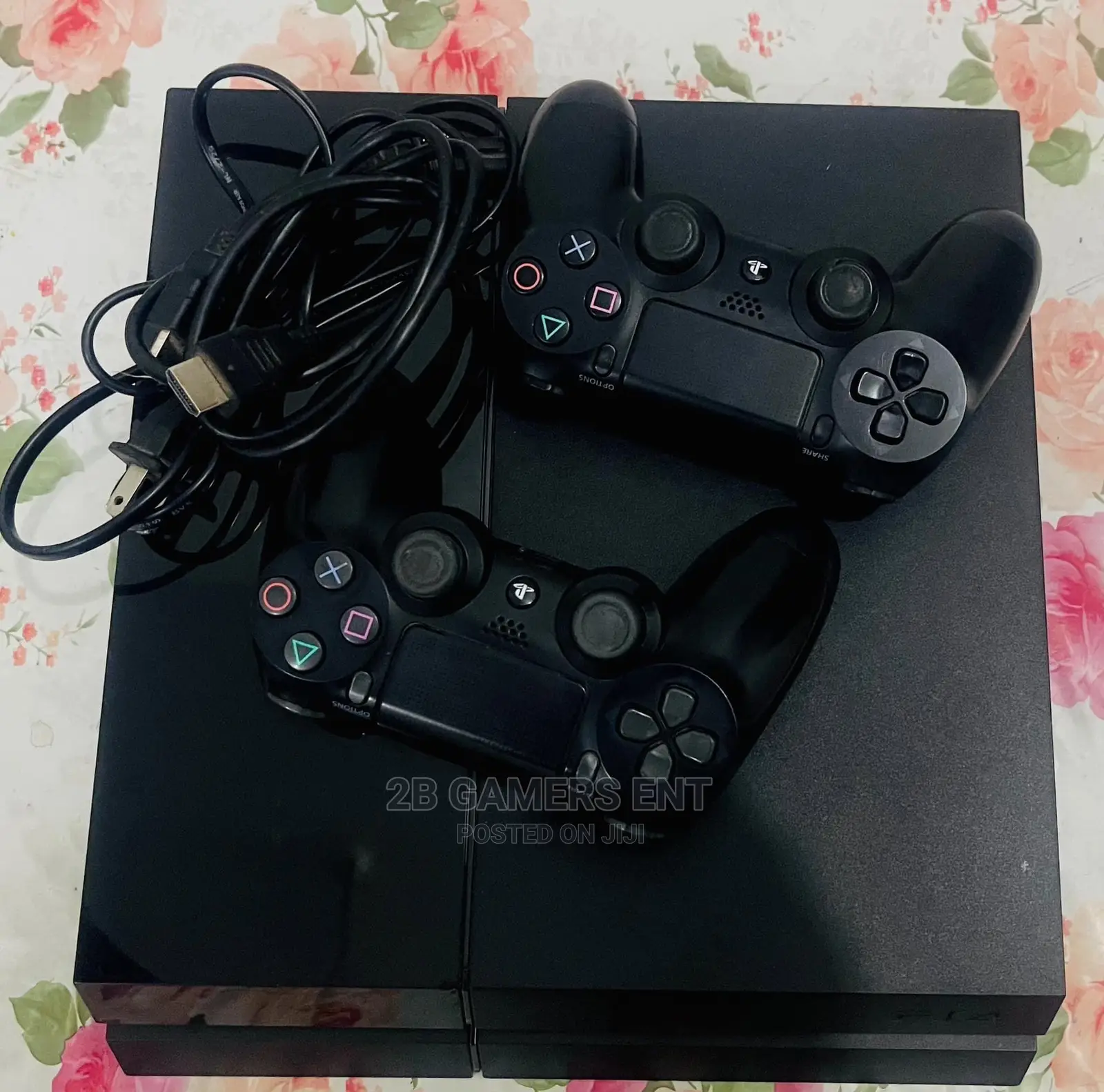 Play (Ps4) Standard, 2 Pads