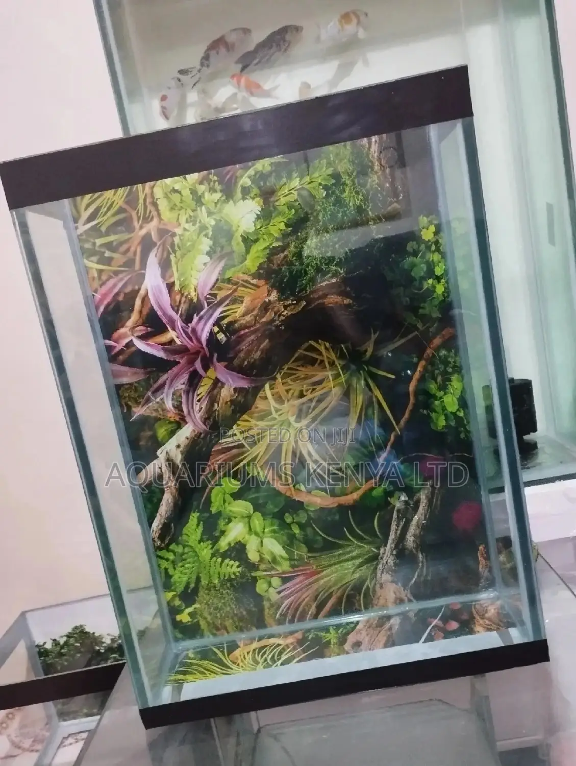 40 Litres Tank, Aquarium Tank