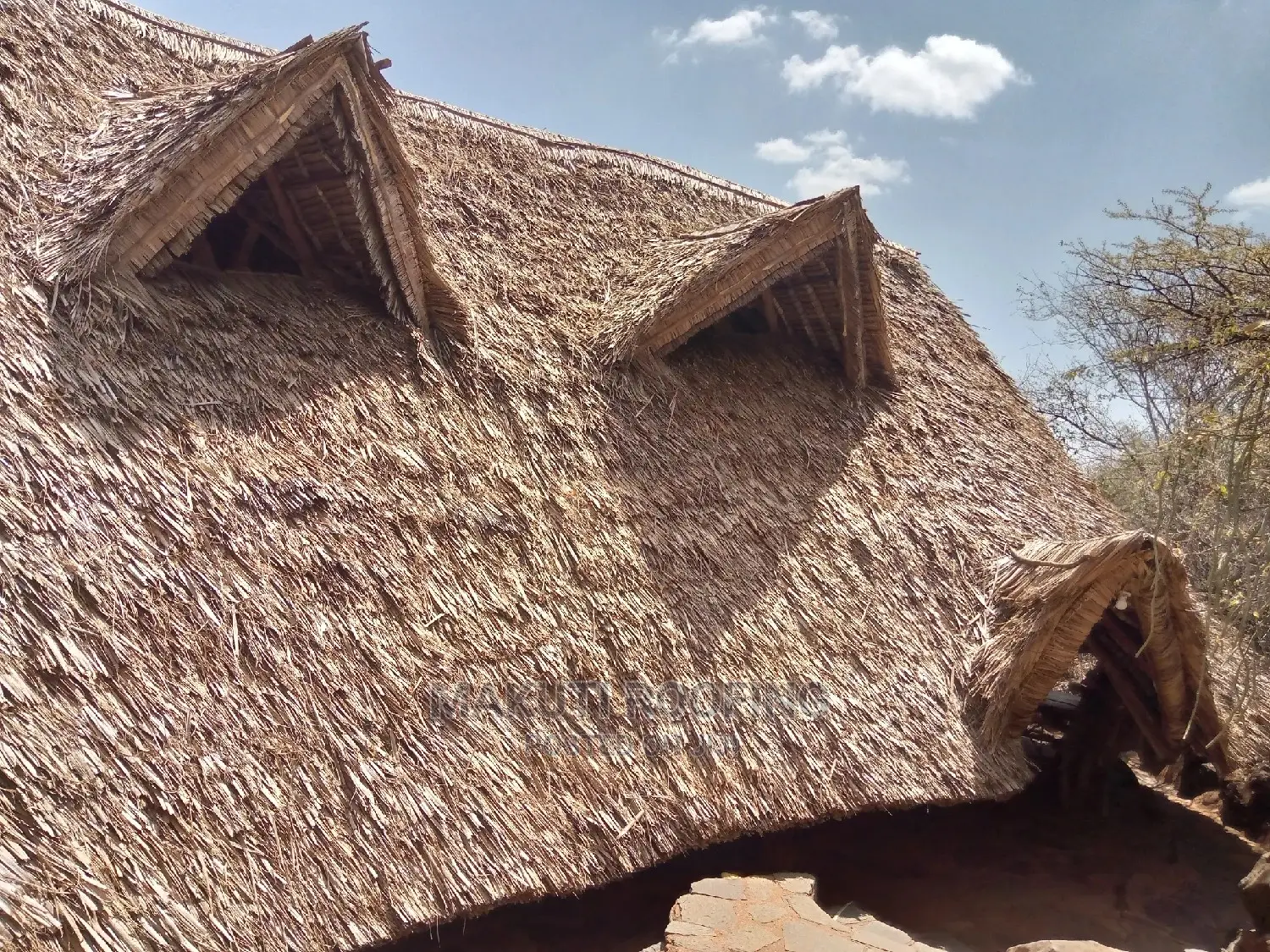Makuti Roof Construction and Suppliers