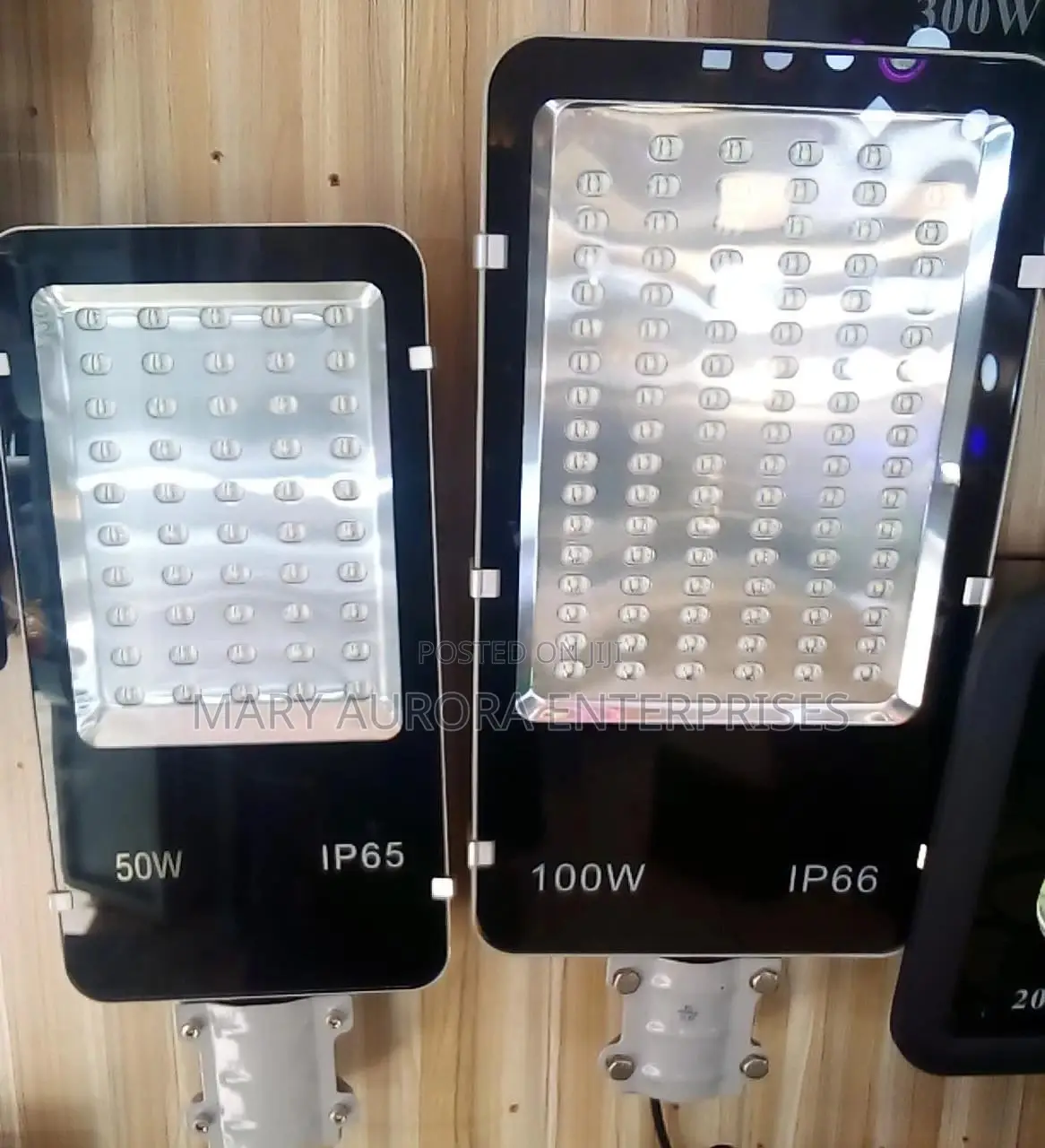 50 Watts AC Floodlight