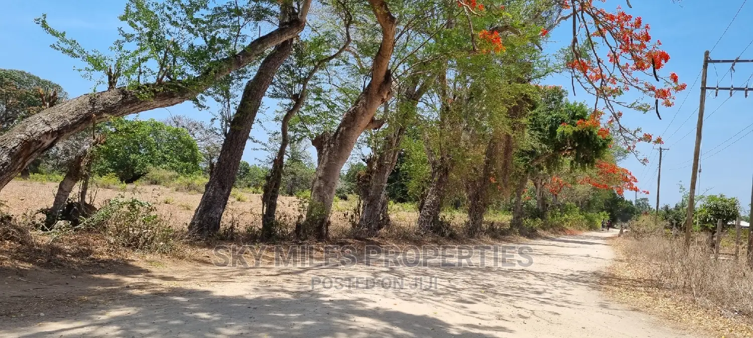 75 Acre Land on Sale in Vipingo Kuruwitu