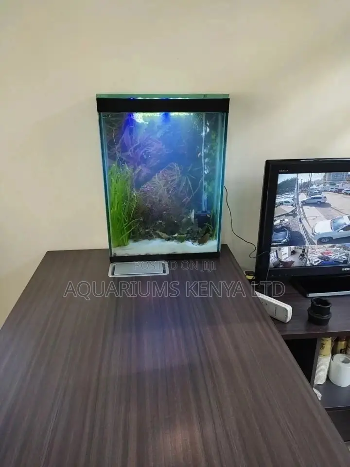 Office Desk Aquariums, Small Side Aquarium