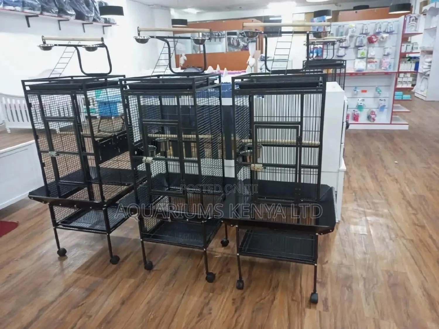 Big Bird Cage, Ornamental Bird Cage, Parrot Cages