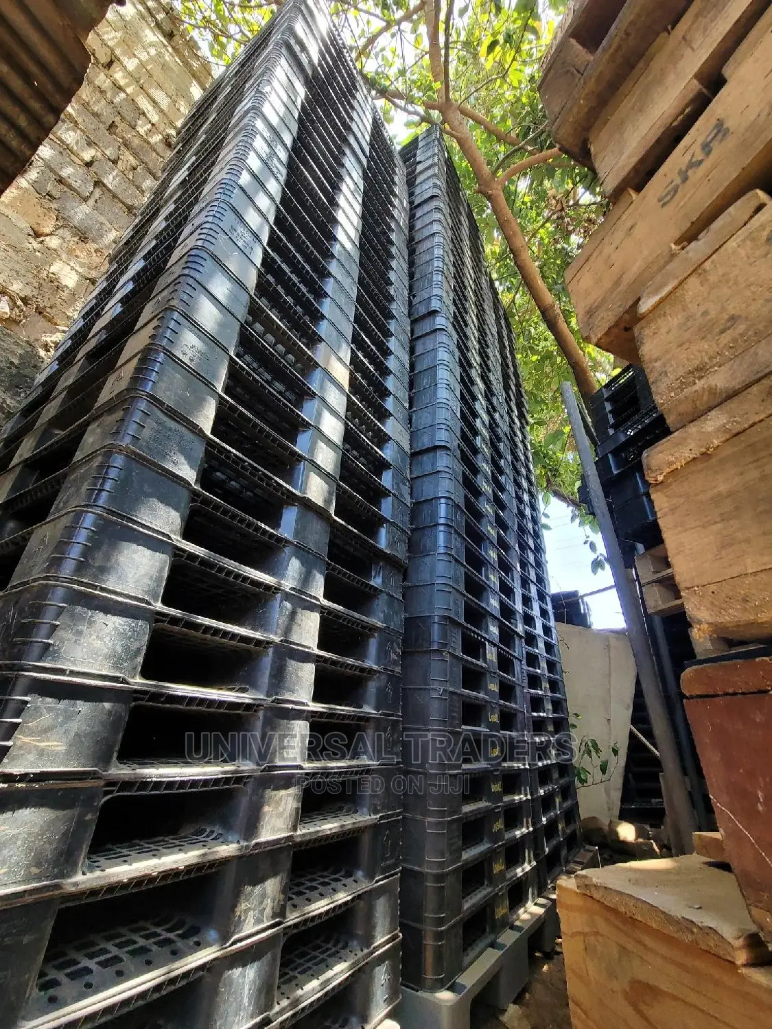Storage Plastic Pallets on Offer!