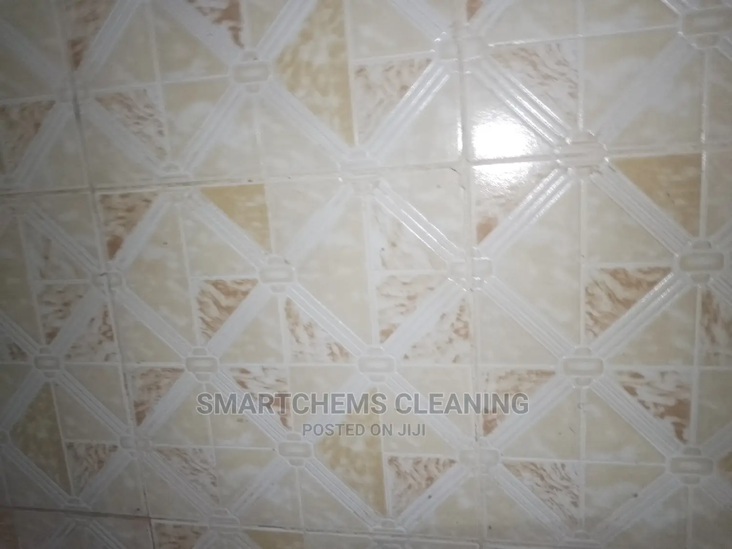 House Cleaning and Mopping