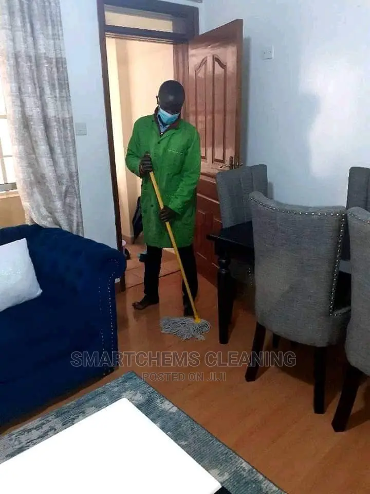 Living House Cleaning