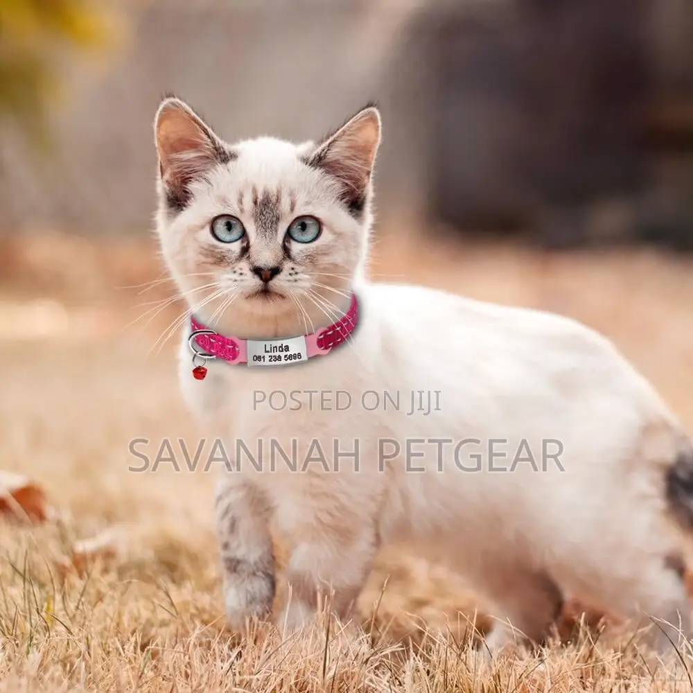 Universal Personalised Dog Cat Pet Name ID Tag, 6.3*1.1cm