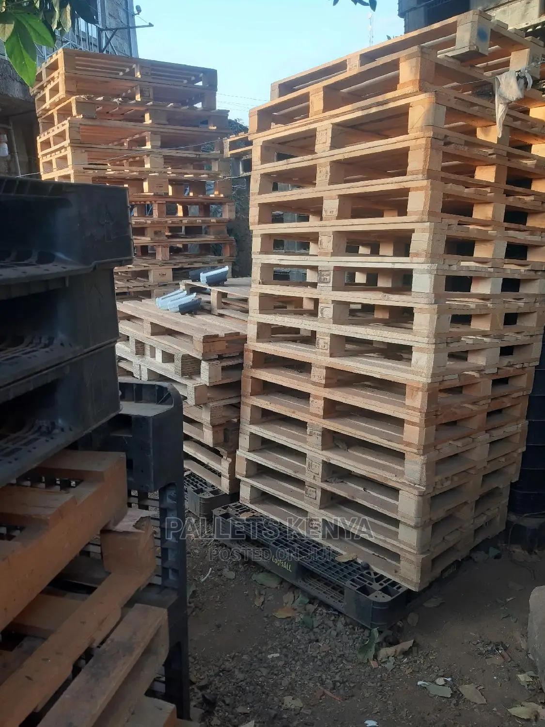 Wooden Pallets- 00678
