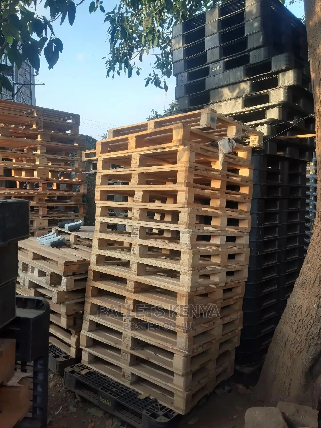 Wood Pallets- 345