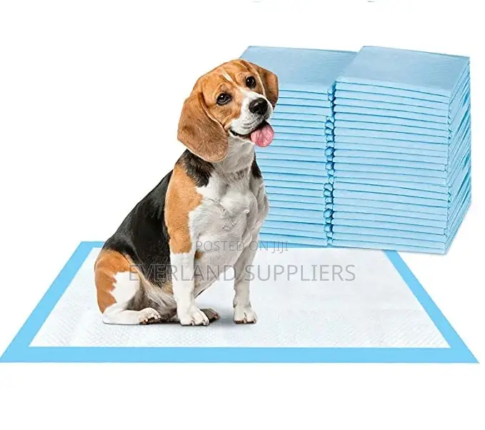 Medium Training Pee Pads- Dog/Cat