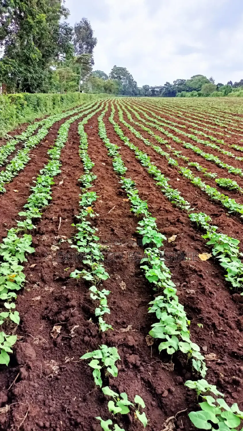 5 Acres Turbo Kipkaren With Title