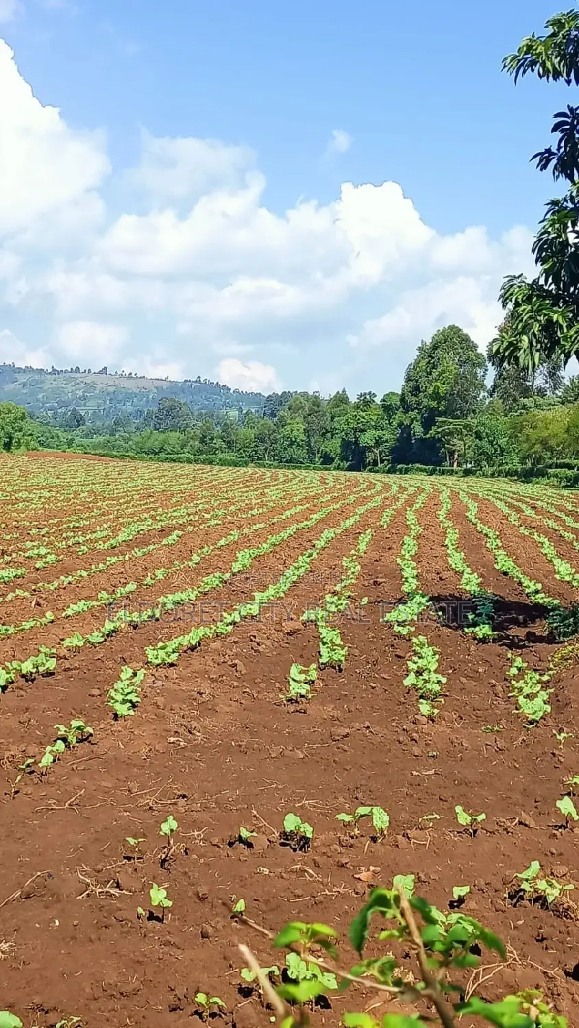 5 Acres Turbo Kipkaren With Title