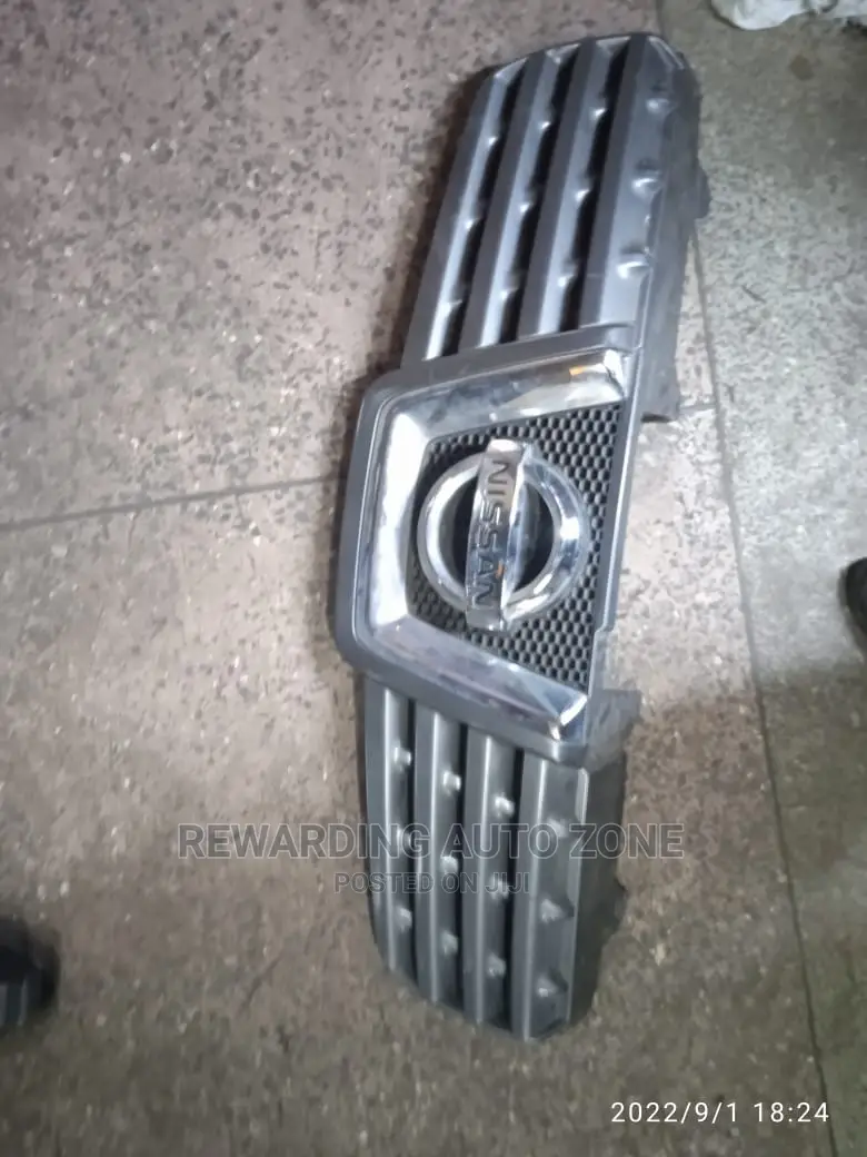 Nissan Dualis 2011 Grille.