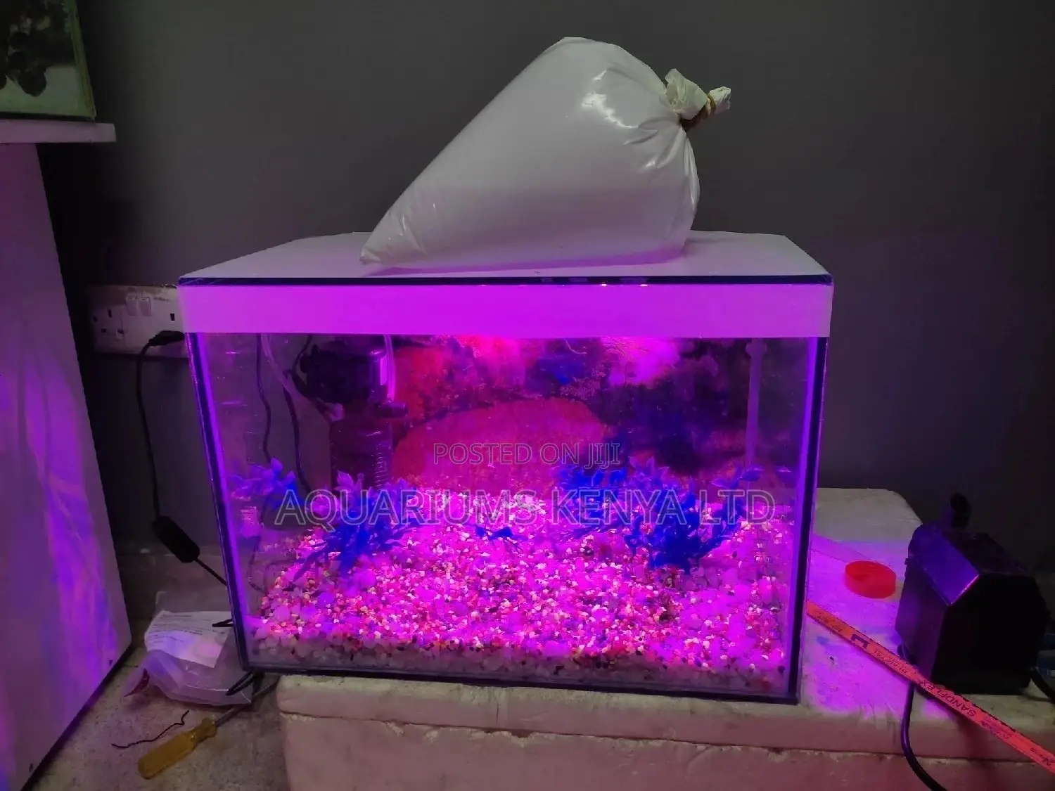 Pocket Friendly Aquariums , FISH Aquarium