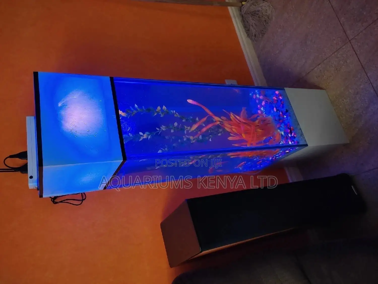 Tower Fish Aquarium