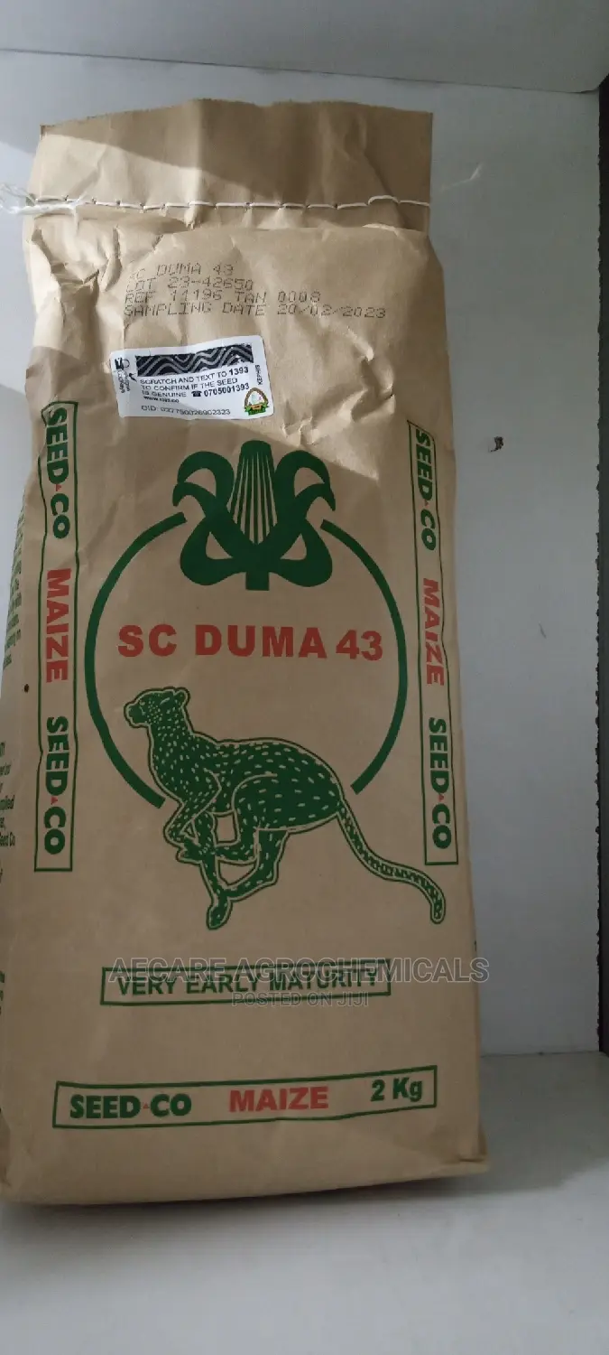 Sc Duma 43 Hybrid Maize Seeds 2kgs