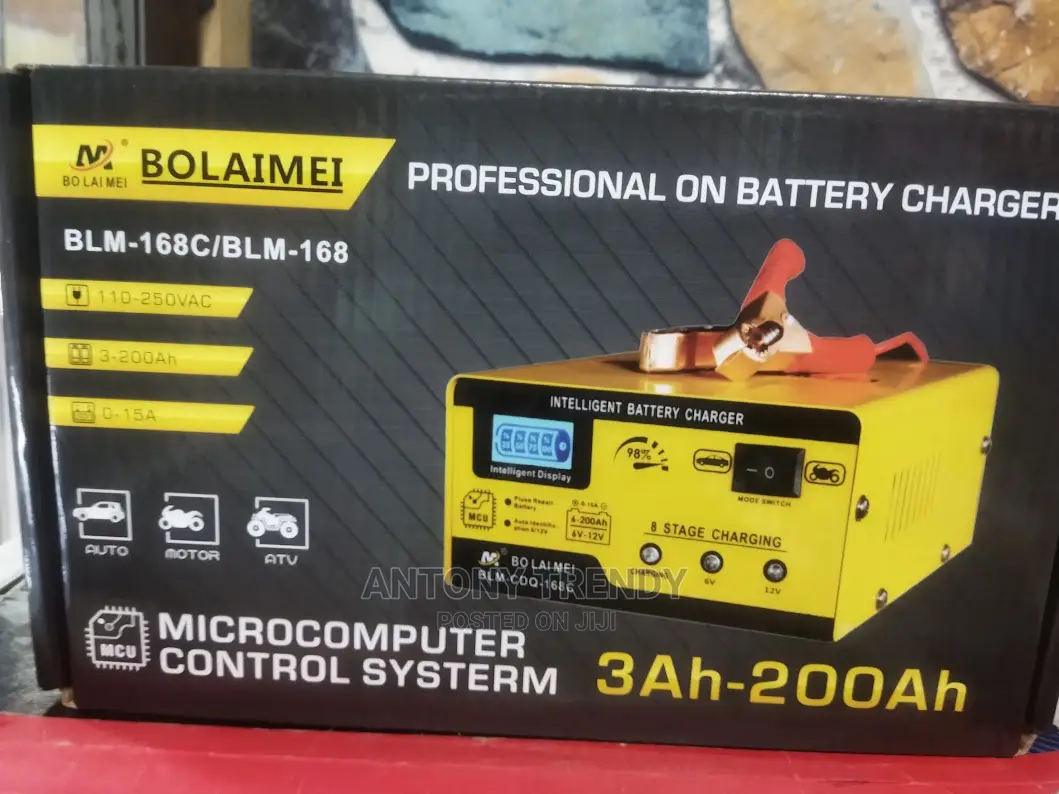 BLM-168 12v/24v Smart Automatic Battery Charger