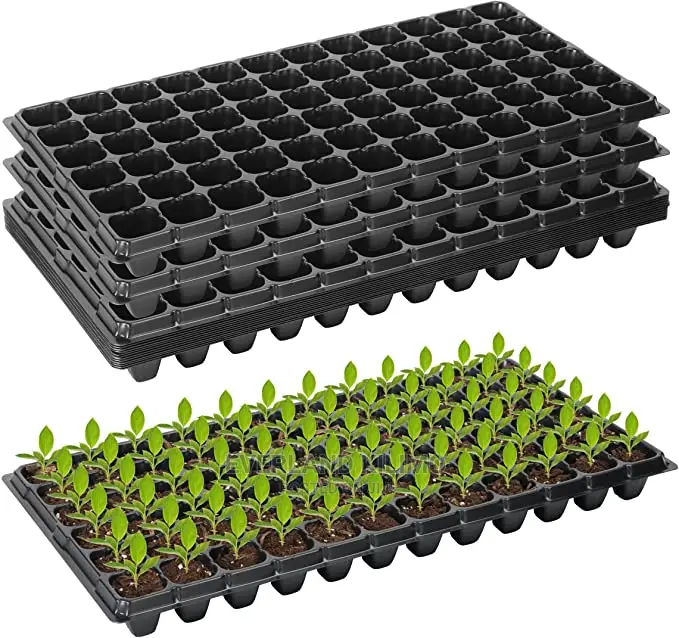 Propagation Starter Tray - Wholesale