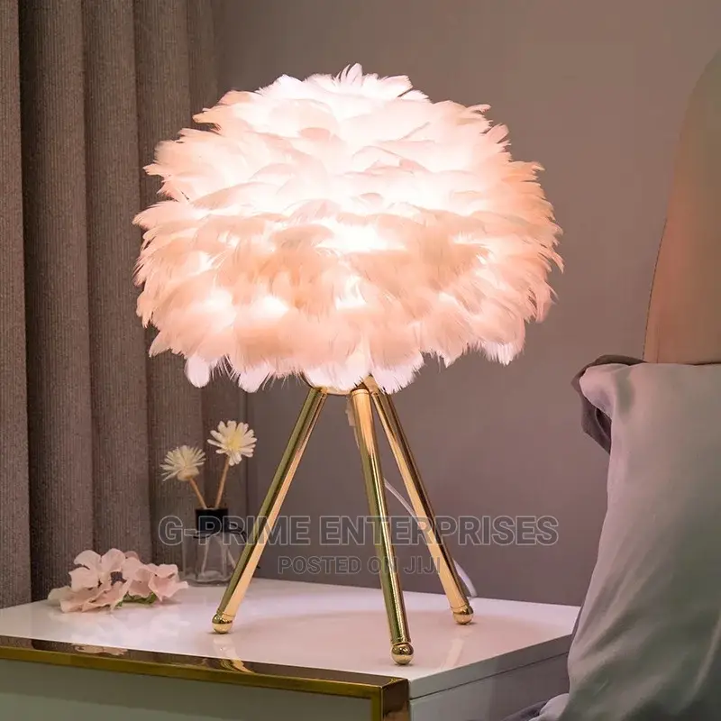 Led Feather Night Light