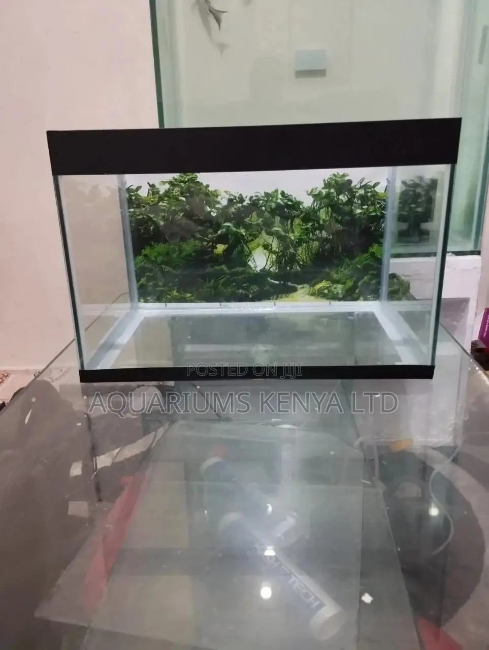 Small Affordable Aquarium