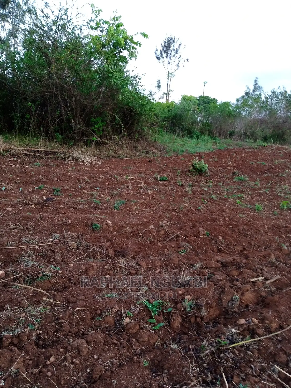 14 Acres at Kithyoko