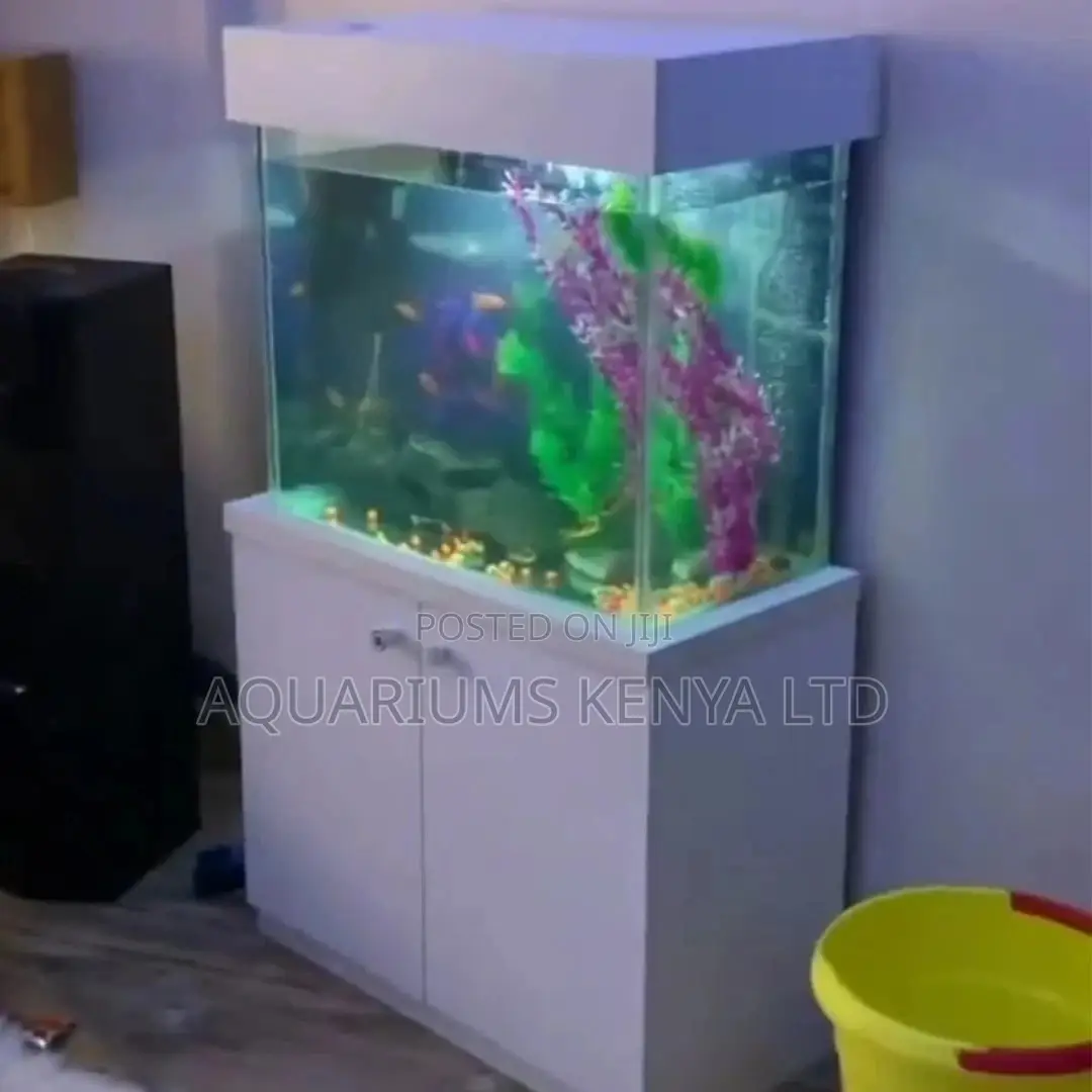 Aquarium Professional Maintenance