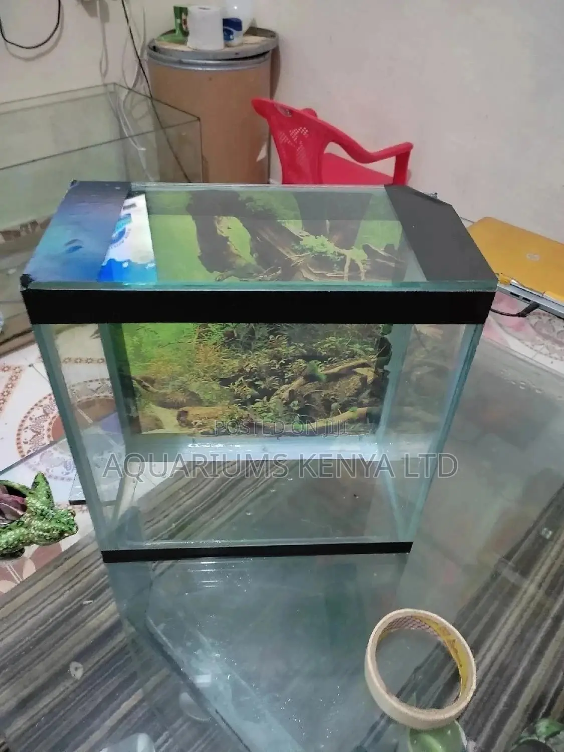Mini Aquarium 10 Litres , Children Aquarium