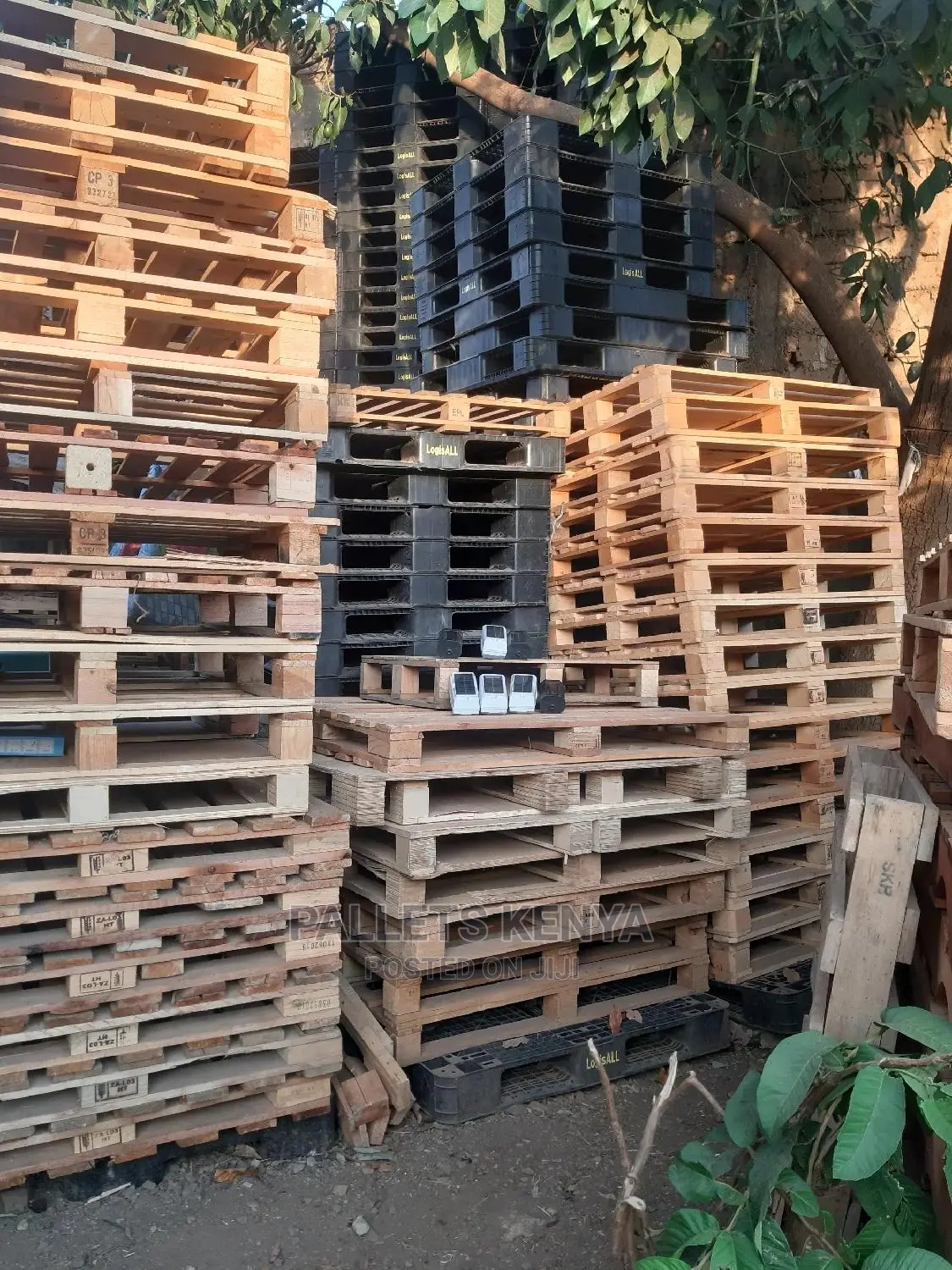 Wood and Plastic Pallets- Gw1
