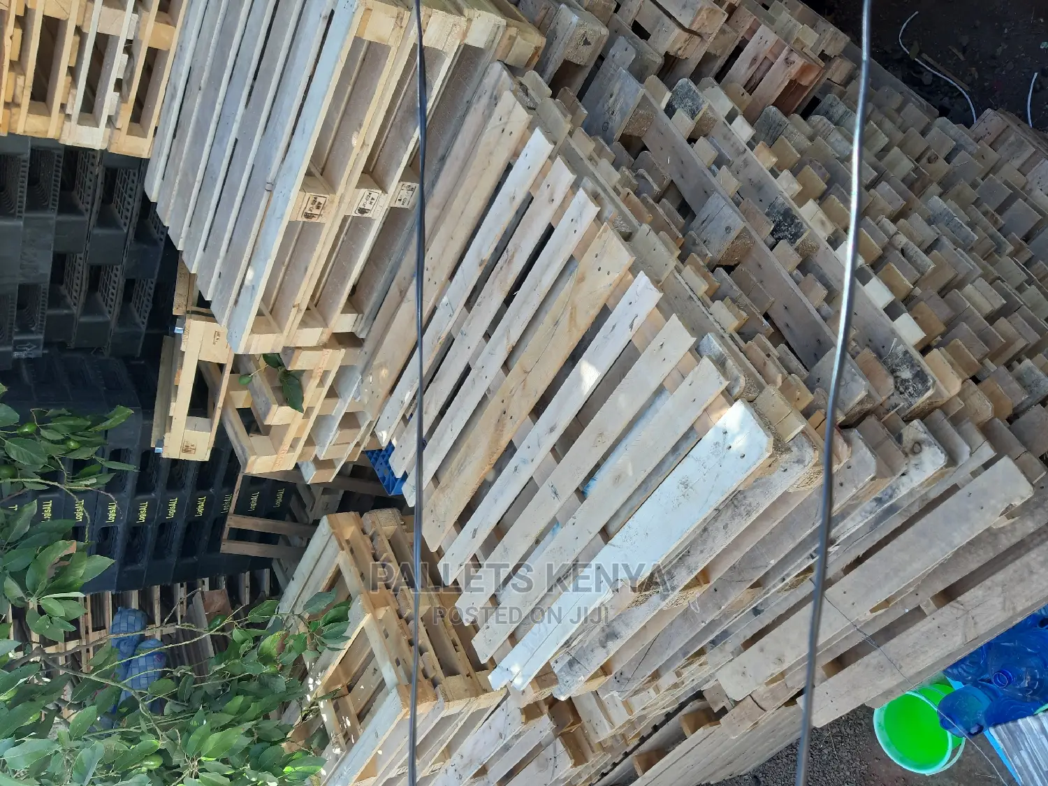 Wood Pallets- GX9