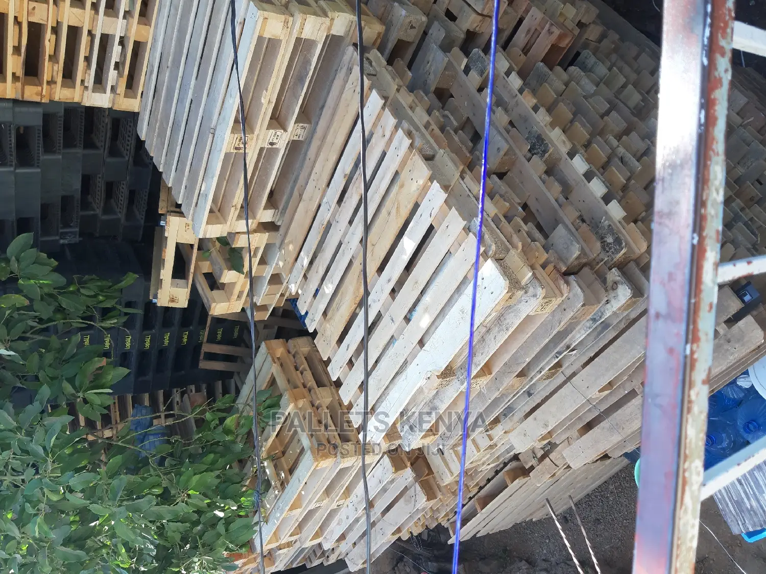Wood Pallets- Gx8