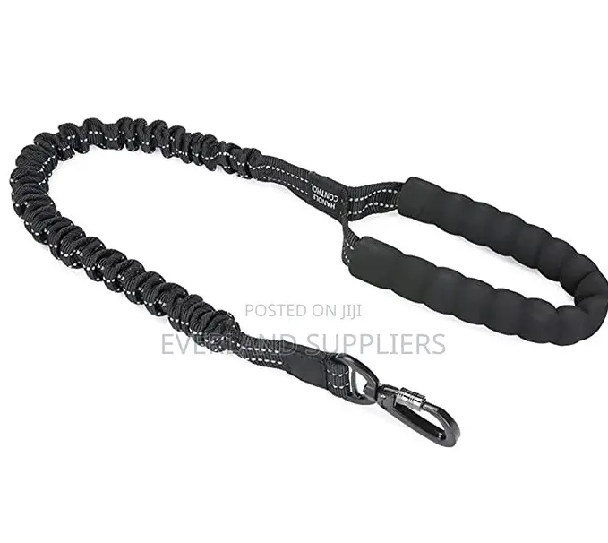 Extendable Dog Leash