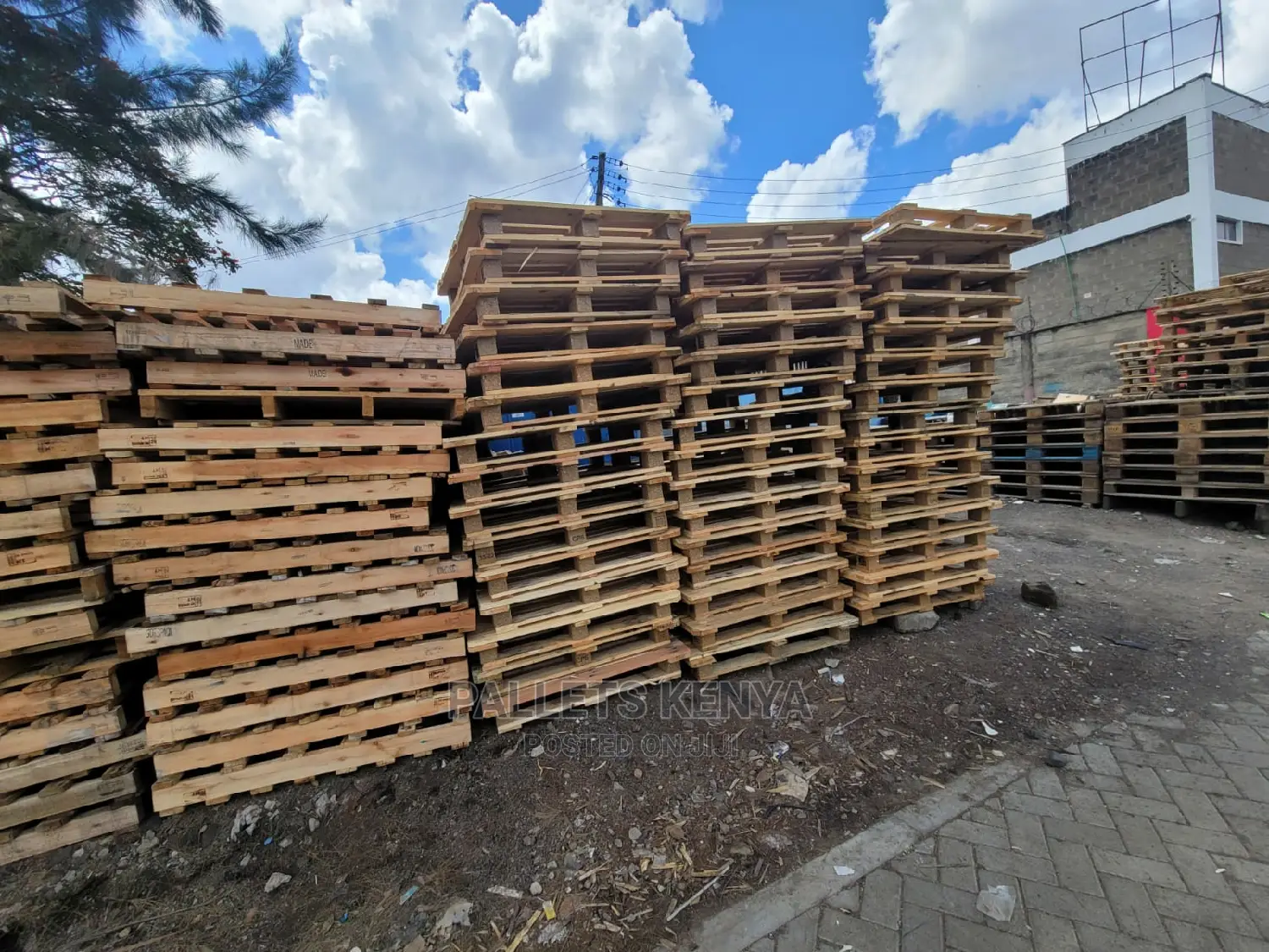 Wooden Pallets- Heat Treated GFB