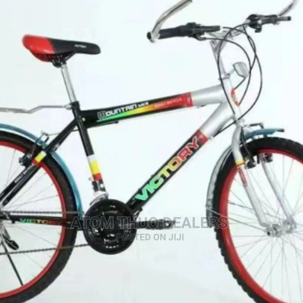 Victory Size 24 Bike With Gears