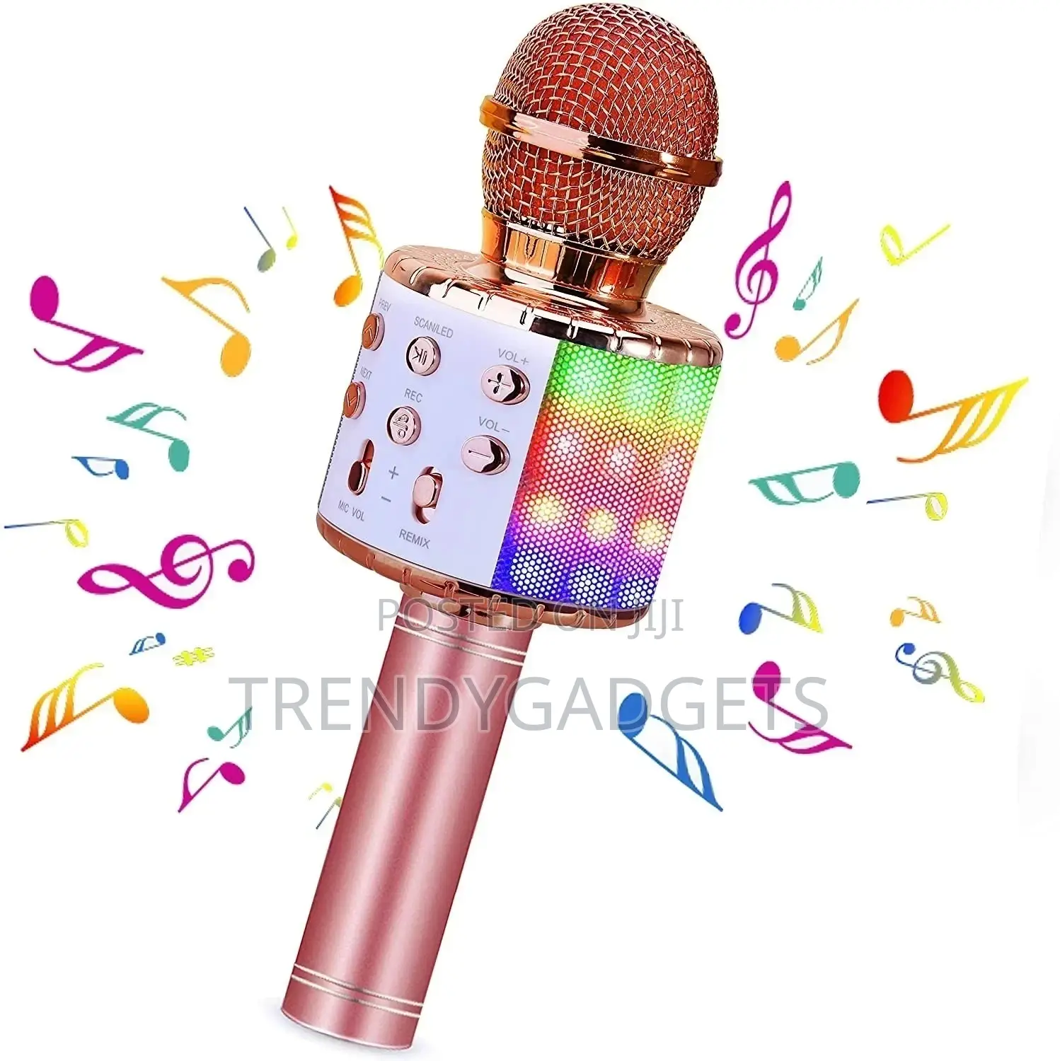 Bluetooth Karaoke Microphone