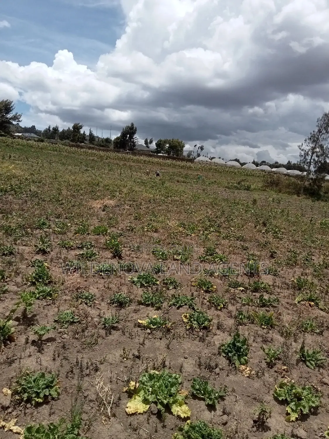 Plot on Sale at Ihindu Market Naivasha