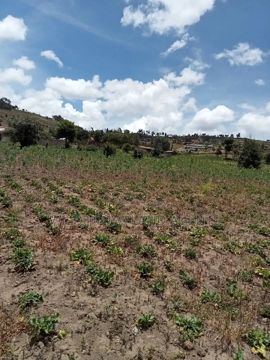 Plot on Sale at Ihindu Market Naivasha