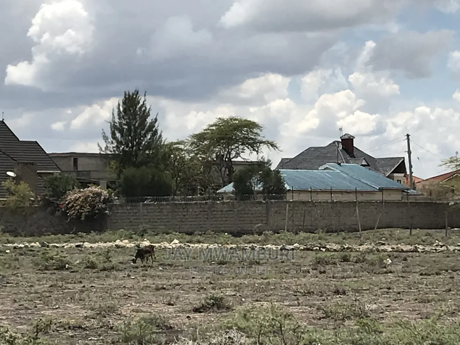 50 By100 Plot Syokimau ,
