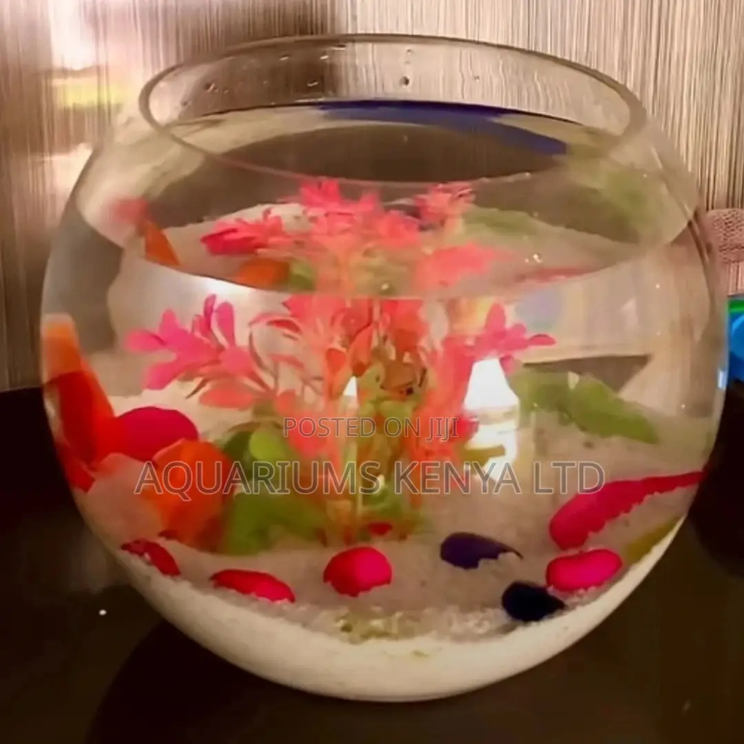 Premium ~10litres Fish Bowl