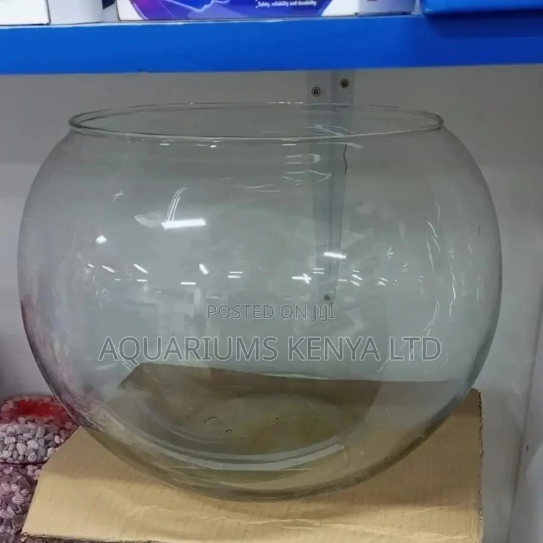 ~10litres Fish Bowl